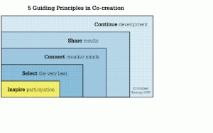 5 principles in co-creation